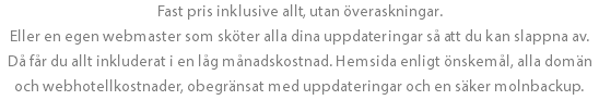 Fast pris inklusive allt, utan överaskningar. Eller en egen webmaster som sköter alla dina uppdateringar så att du kan slappna av. Då får du allt inkluderat i en låg månadskostnad. Hemsida enligt önskemål, alla domän och webhotellkostnader, obegränsat med uppdateringar och en säker molnbackup.